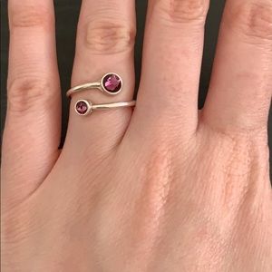 Alex and Ani February Birthstone Ring